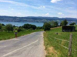 九游网-“缆绳滑水：东桃花岛赛场呈现全新水上运动魅力”